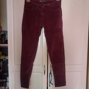 Women's Burgundy Pants
